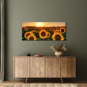 Kép - Napraforgó (120x50 cm)