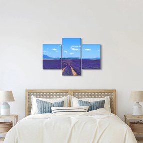 Kép - Levendula mező (90x60 cm)