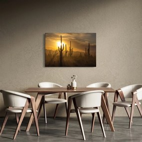 Kép - Saguaro kaktuszok (90x60 cm)