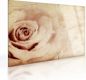 Kép - Rózsa virág szerelmeseknek (üvegen) (70x50 cm)