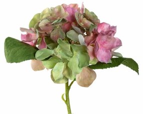 LEONARDO POESIA hortensia 18cm, rózsaszín