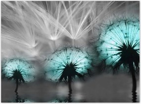 Poszterek 135x100 Türkiz pitypangok Víz