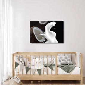 Kép - kókusz tej (90x60 cm)