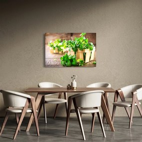 Friss menta képe (90x60 cm)