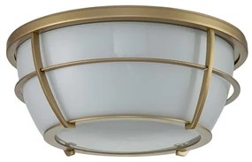 Quoizel QZ-CHANCE-F-PNBR- Fürdőszobai mennyezeti lámpa CHANCE 2xE27/60W/230V IP44