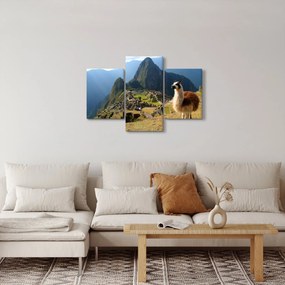 Kép - Láma és Machu Picchu (90x60 cm)