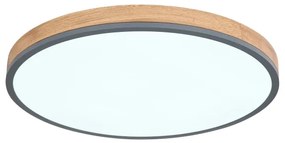 Globo 416080WD4R-CCT - LED Dimmelhető mennyezeti lámpa DORO LED/40W/230V 2700-6500K + távirányító