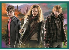 Trefl Puzzle Harry Potter, 10az1-ben