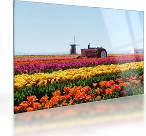 Tulipánfarm képe (üvegen) (70x50 cm)