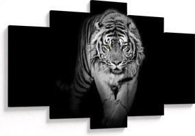 Kép - Sárga szemű tigris (150x105 cm)