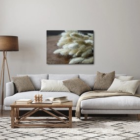 Kép - Nyuszi Farok (70x50 cm)