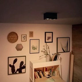 Philips 50492/30/P0-LED Dimmelhető spotlámpa MYLIVING BOX 2xLED/4,5W/230V