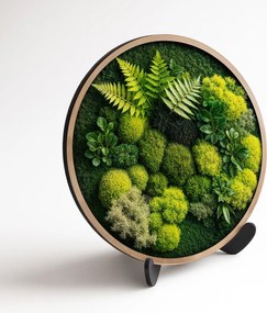 DUBLEZ | 3D falikép moha hatással – Páfrány motívummal