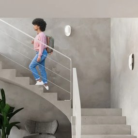 Sollux SL.1062 - Fali lámpa TEAR 1xG9/40W/230V fehér