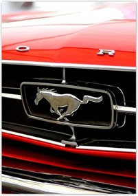 Poszterek 70x100 Ford Mustang grill