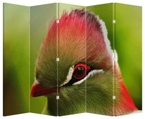 Paraván - Színes madár (210x170 cm)