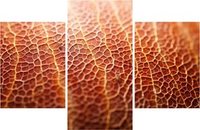 Kép - Textúra részlet (90x60 cm)