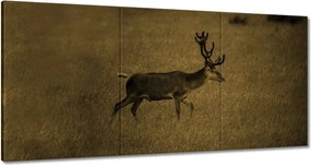Festmények 180x90 Szarvas