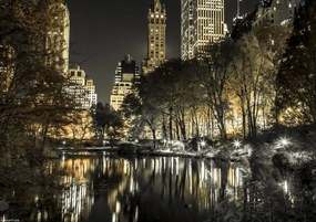 Poszter 29,7x21cm Esti kilátás a New York-i Central Parkra 9, Assaf Fra
