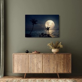Kép - Strand teliholddal (90x60 cm)
