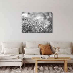 Kép - Bézs színű puha fű N⁰1 (90x60 cm)