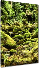 Vászonkép 80x120 Tátra Lengyel hegyek Kilátás