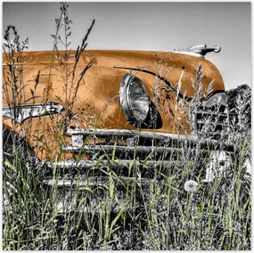 Poszterek 100x100 Tea veterán