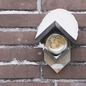 Mogyoróvaj madáreleség, 340 g