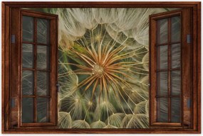 Poszterek 120x80 Pitypang VirĂĄg VirĂĄgok