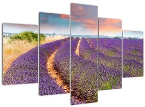Modern képek - virágok  (150x105cm)