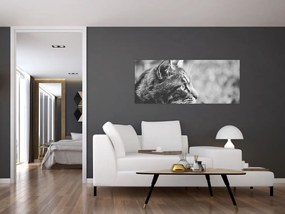 Kép - Macska (120x50 cm)