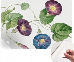 Fali fotótapéta Hálószoba Nappali Virágos elegancia 208x146 cm