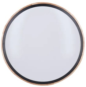 Solight WO8005 - LED lámpa IRON OAK LED/48W/230V 3000-6500K 40 cm + DO