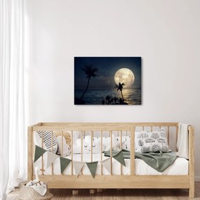 Kép - Strand teliholddal (70x50 cm)