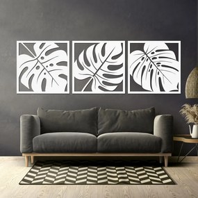 Természetes monstera faldekoráció | SELERE