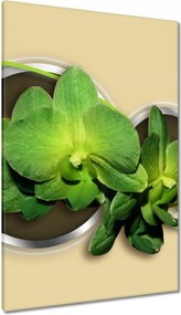 Vászonkép 80x120 Zöld orchidea
