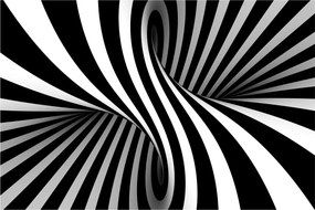 Absztrakt kép zebra csíkokkal (90x60 cm)
