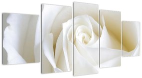 Kép - fehér, rózsák (150x70cm)