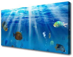 Vászonkép falra hal Természet 100x50 cm