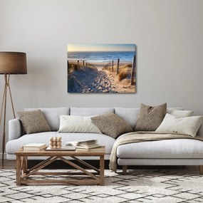 Kép - Út az északi-tengeri strandra, Hollandia (70x50 cm)