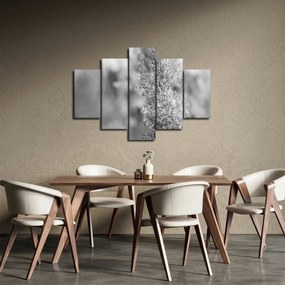 Kép - Boho pampafű (150x105 cm)