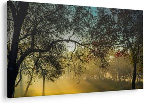 Napkelte képe (90x60 cm)