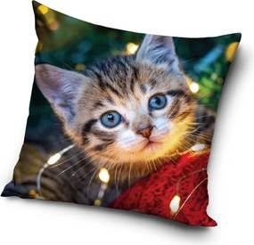 Cicás Cozy Lights párnahuzat 40x40 cm Velúr