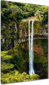 Vászonkép 80x120 Vízesés Tájképek
