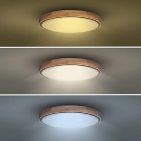 Solight WO8006 - LED dimm. lámpa IRON OAK LED/60W/230V 3000-6500K Ø51 cm+DO