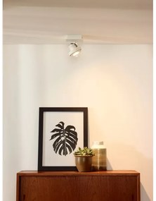 Lucide 17906/06/31 - LED spotlámpa GU10/5W/230V