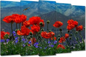 Vászonkép 150x95 Piros pipacs Virágok