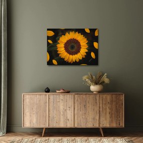 Kép - Napraforgók és a virágszirmok (70x50 cm)