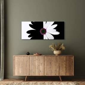 Egy fekete-fehér virág képe (120x50 cm)