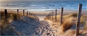 Kép - Út az északi-tengeri strandra, Hollandia (120x50 cm)